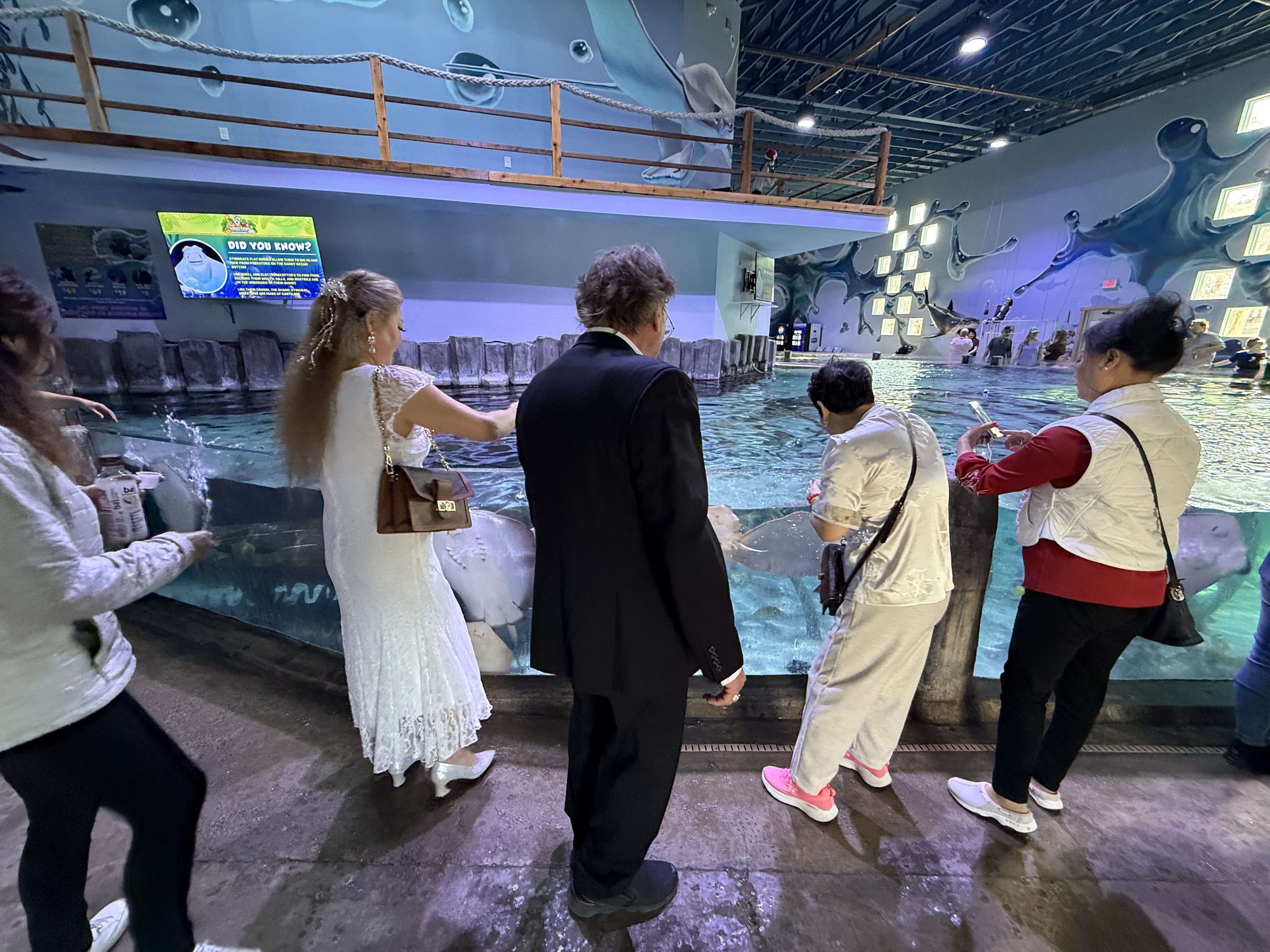 Houston Aquarium Event Space