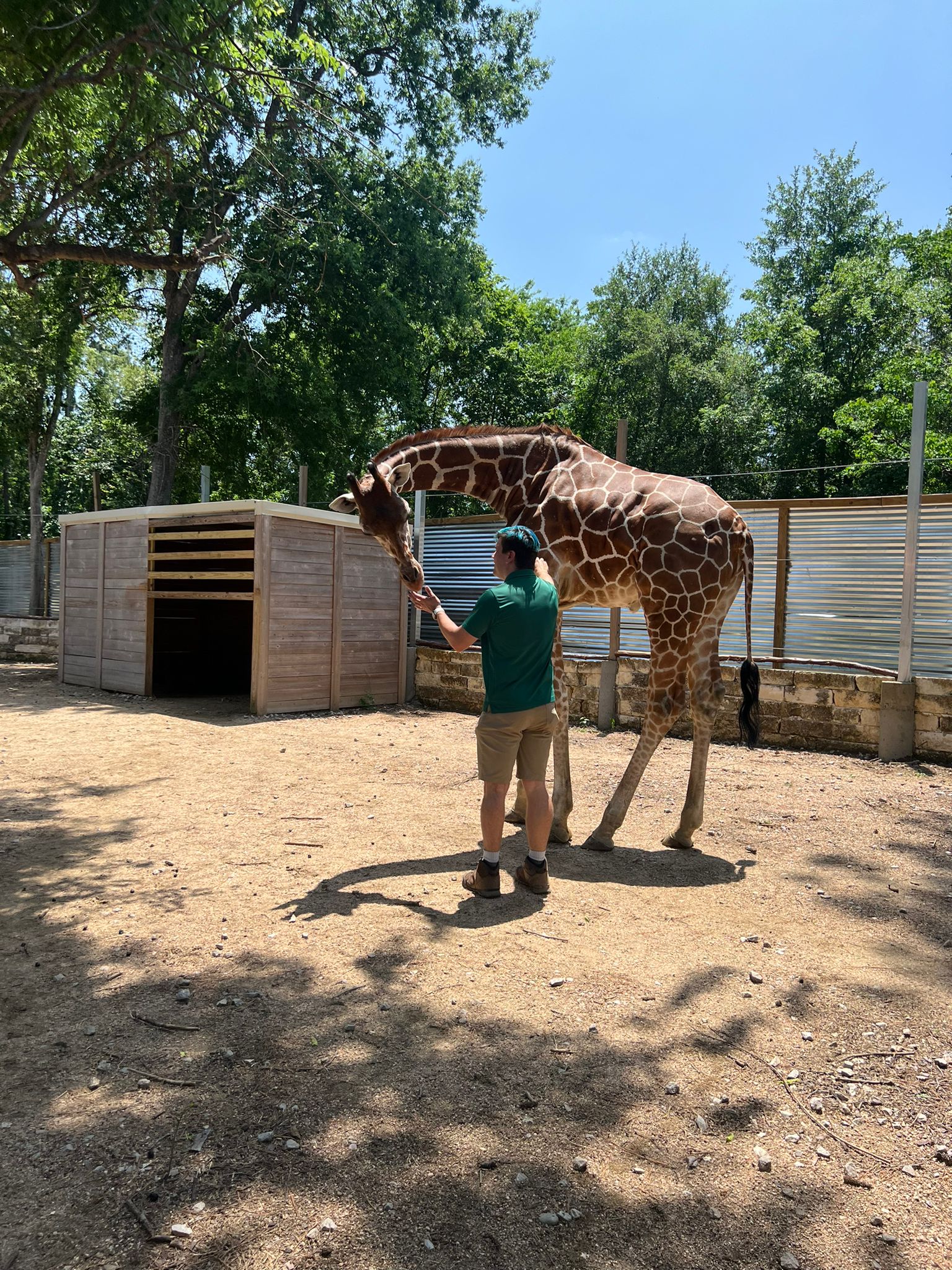 Houston Aquarium Interior